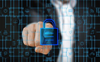 九游娱乐APP-赛事风险管理体系，体育赛事风险管理的主要内容